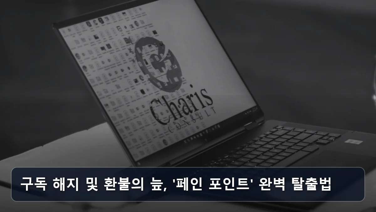 구독 해지 및 환불의 늪, '페인 포인트' 완벽 탈출법 관련 이미지