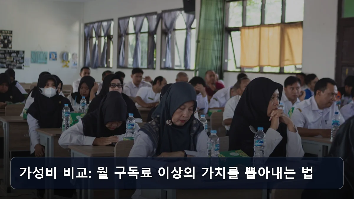 가성비 비교: 월 구독료 이상의 가치를 뽑아내는 법 관련 이미지