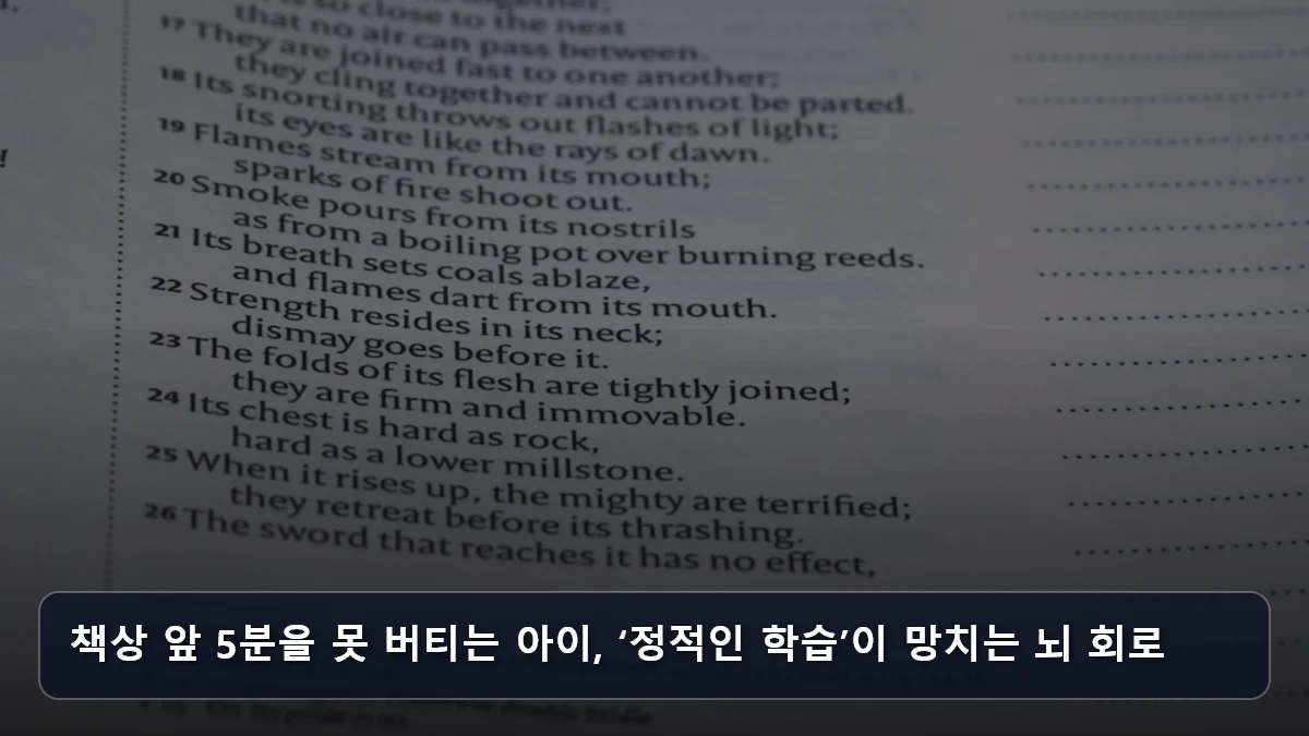 책상 앞 5분을 못 버티는 아이, ‘정적인 학습’이 망치는 뇌 회로 관련 이미지