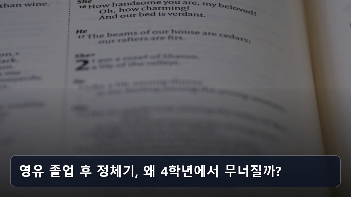 영유 졸업 후 정체기, 왜 4학년에서 무너질까? 관련 이미지