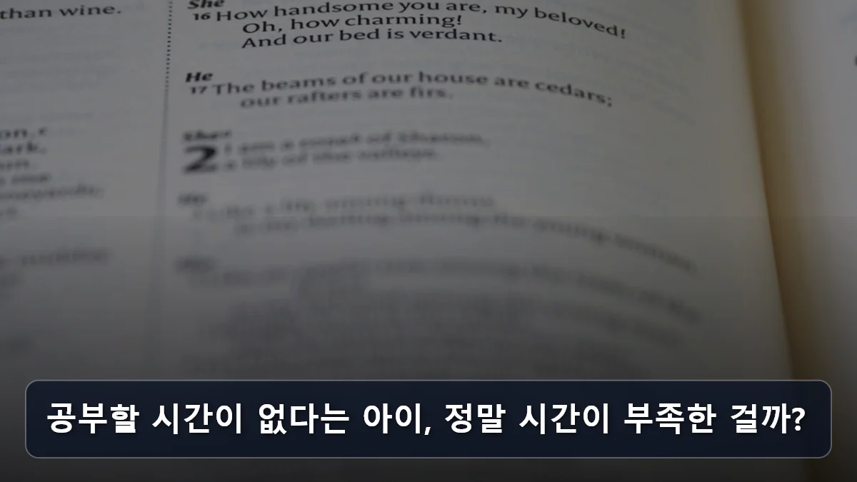 공부할 시간이 없다는 아이, 정말 시간이 부족한 걸까? 관련 이미지