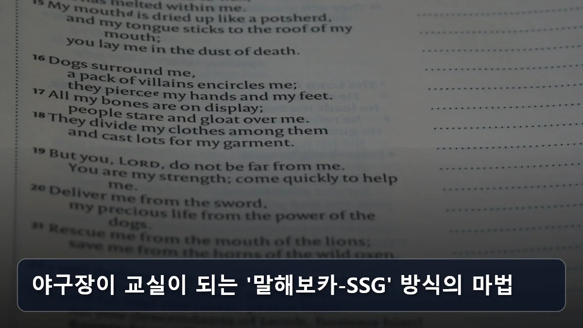 야구장이 교실이 되는 '말해보카-SSG' 방식의 마법 관련 이미지