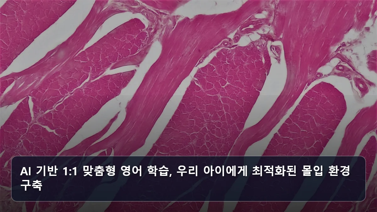 AI 기반 1:1 맞춤형 영어 학습, 우리 아이에게 최적화된 몰입 환경 구축 관련 이미지